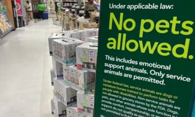 Pets Prohibited-publix Introduces Signs Requesting Customers to Leave Dogs Outside