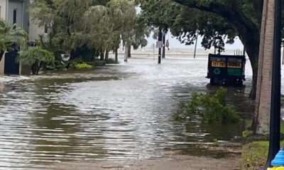 Wednesday's Live Report Hurricane Idalia Brings Floods and Widespread Destruction to Tampa Bay