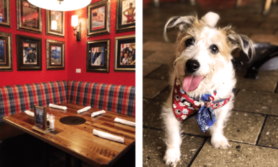 Yelp's 'Top Dog-Friendly Places to Dine' List Features 2 Restaurants in Tampa Bay