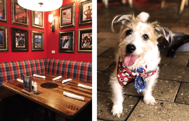 Yelp's 'Top Dog-Friendly Places to Dine' List Features 2 Restaurants in Tampa Bay