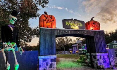 Tampa Bay's Autumn Delights: Festivals and Ghost Tours for Halloween Enthusiasts