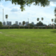 Ybor City Considered as Location for Practice Facility by Tampa Bay's Pro Women's Soccer Team