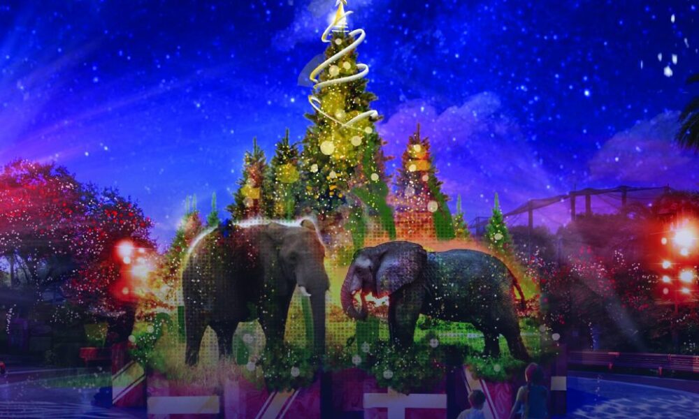Christmas in the Wild will see ZooTampa undergo a stunning snowy transformation, creating a holiday oasis