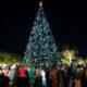Locating the Perfect Christmas Tree in and Around Tampa Bay