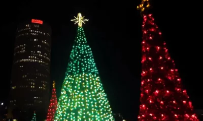Witness the Glow: Tampa Bay Area's Christmas Tree Lighting Events