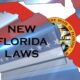 In January, Florida will see the implementation of new laws. Here's a rundown of what you should know