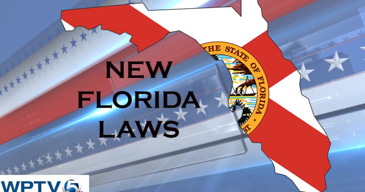 In January, Florida will see the implementation of new laws. Here's a rundown of what you should know