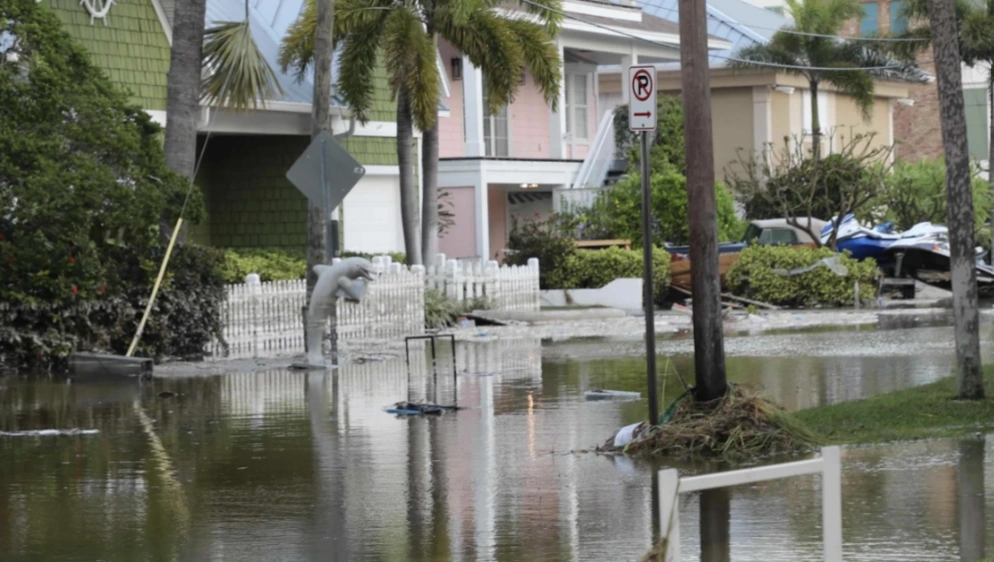Tampa Bay FEMA Application Tips