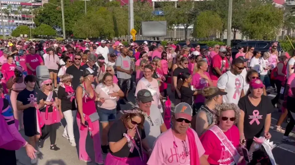 Tampa Walks for a Cause