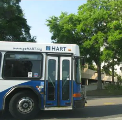 hart route 1 free public transit tampa