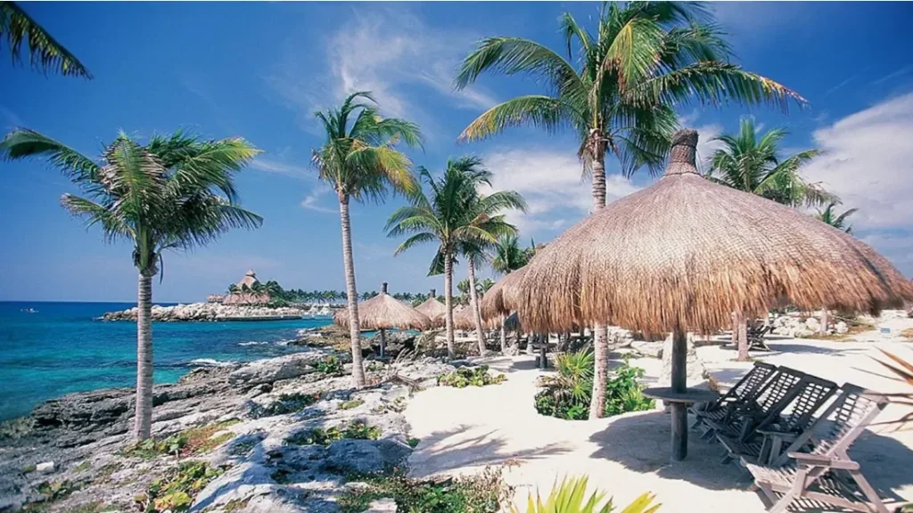 A tropical oasis with lounge chairs and an umbrella.