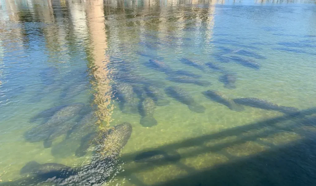 Visitors walking the nature trails at the Florida Conservation & Technology Center