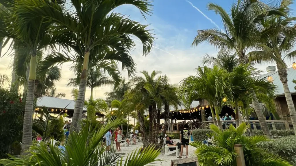 Oysters with sambal butter served at On Swann in Tampa