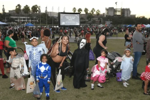 Things to do in Tampa this weekend