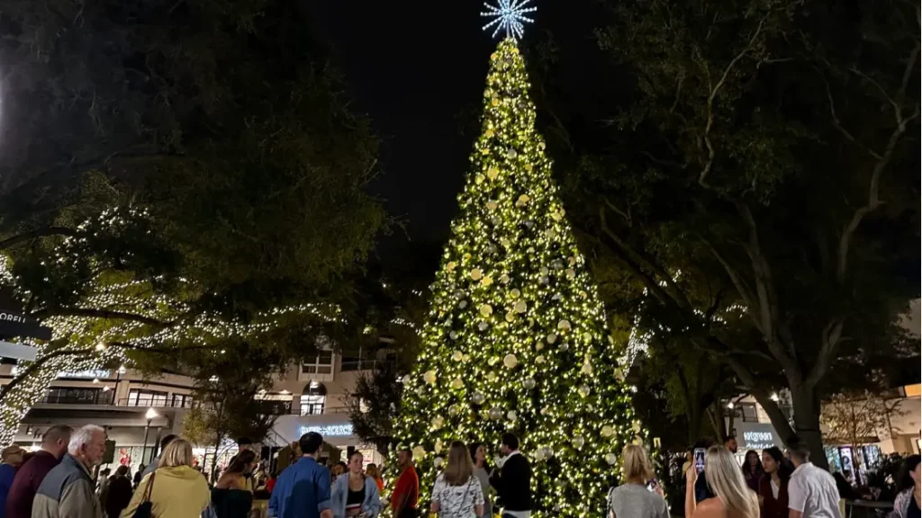 Best holiday events in Tampa with festive lights