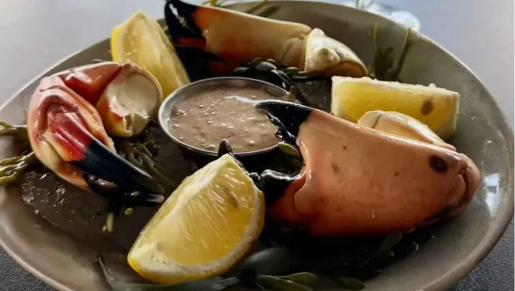 Waterfront dining with stone crab in Tampa Bay